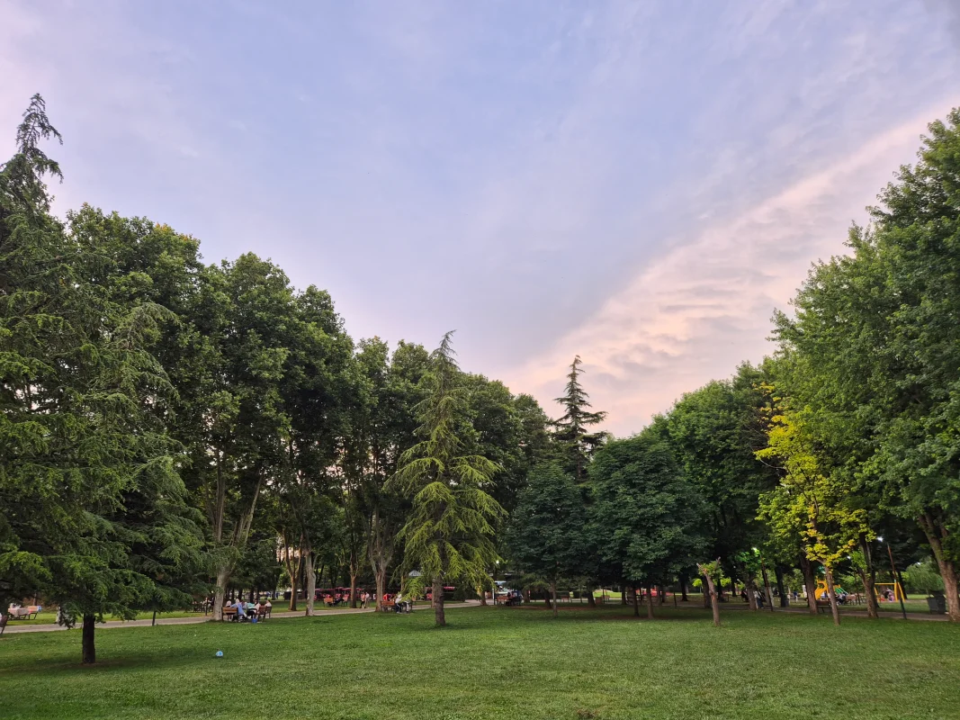 20260609_201951.webp