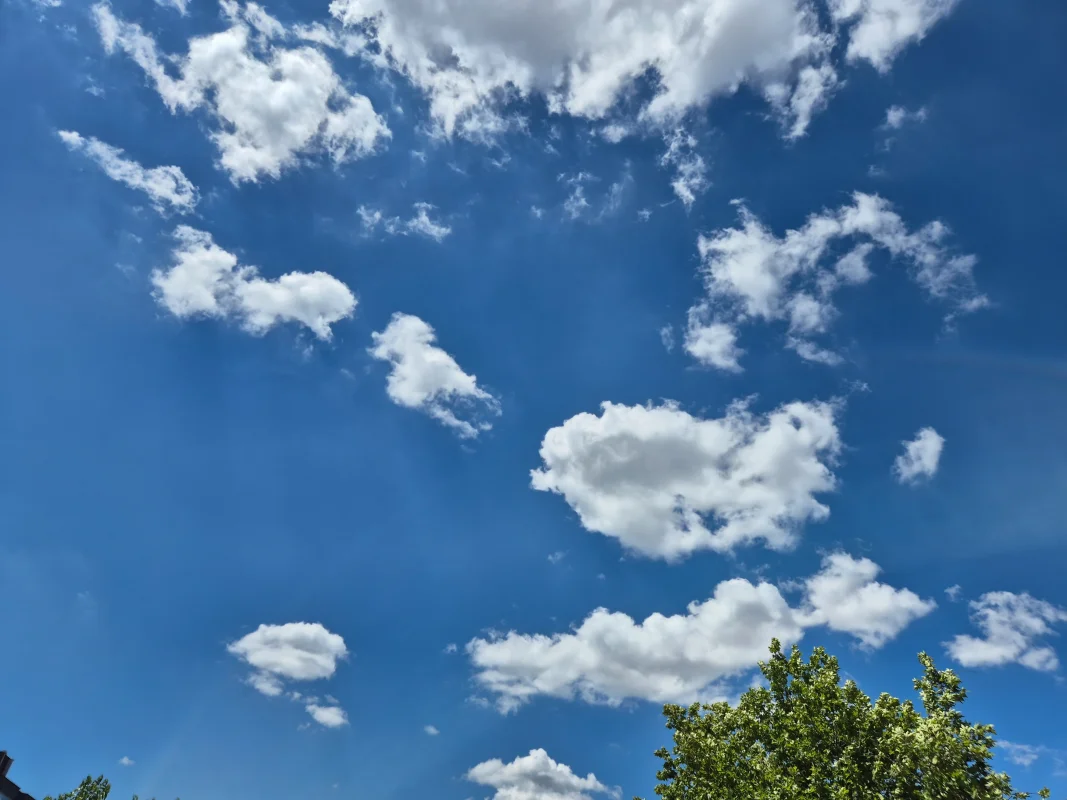 20260614_114942.webp