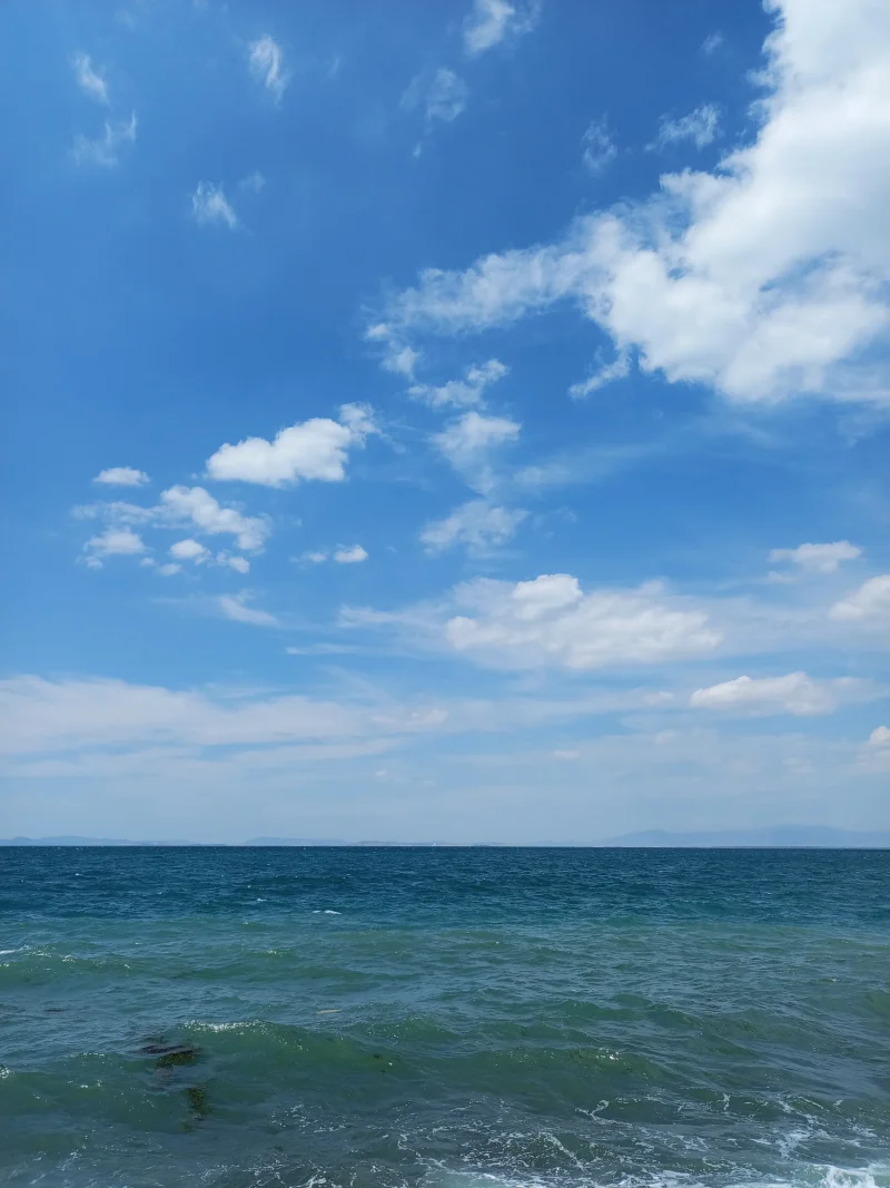 IMG_20260619_152057_273.webp