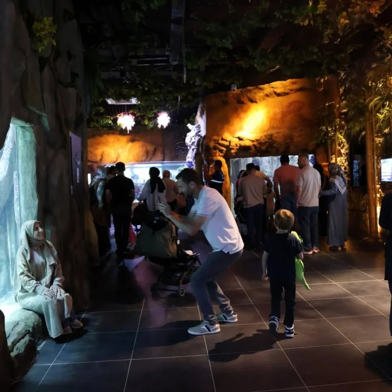 korfez_aqua_6.webp