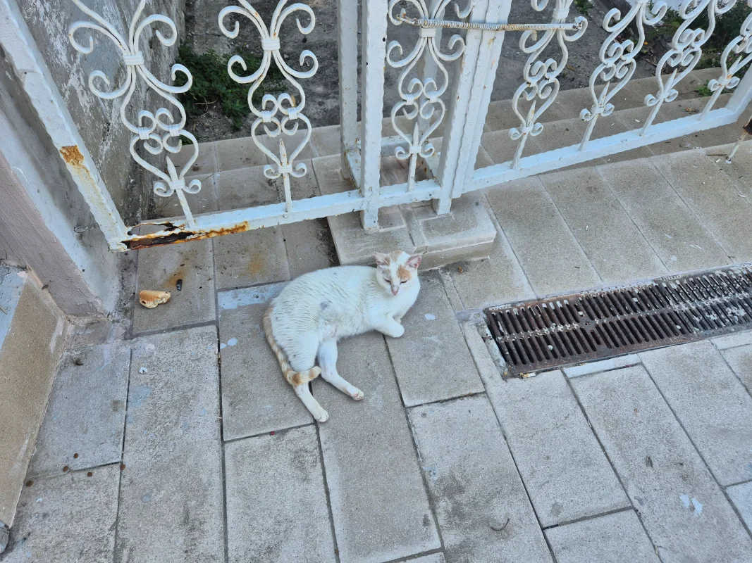 20260627_151108.webp