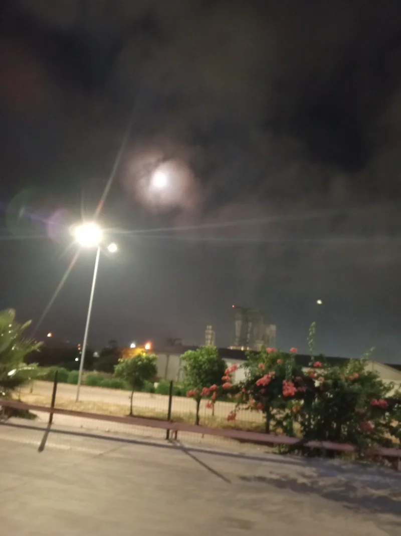 IMG_20260701_030108_110.webp