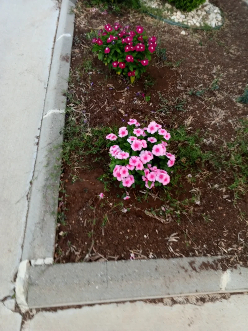 IMG-20260701-WA0012.webp