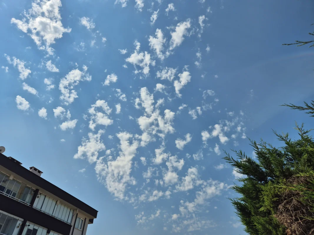 20260702_104459.webp
