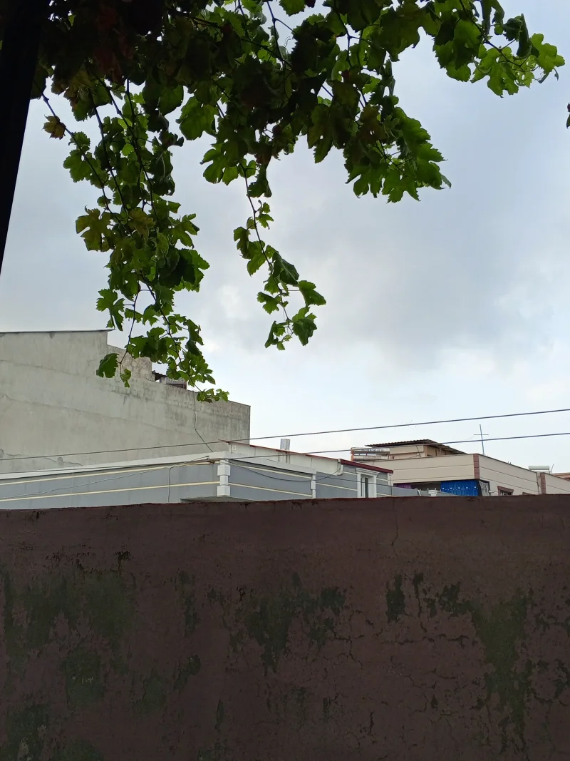 IMG-20260702-WA0012.webp