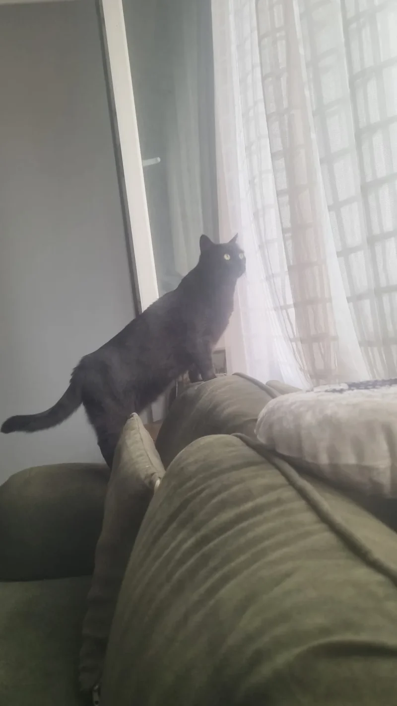 IMG-20260709-WA0020.webp