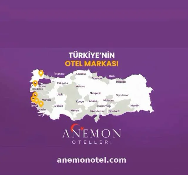 anemon_balikesir_1.webp