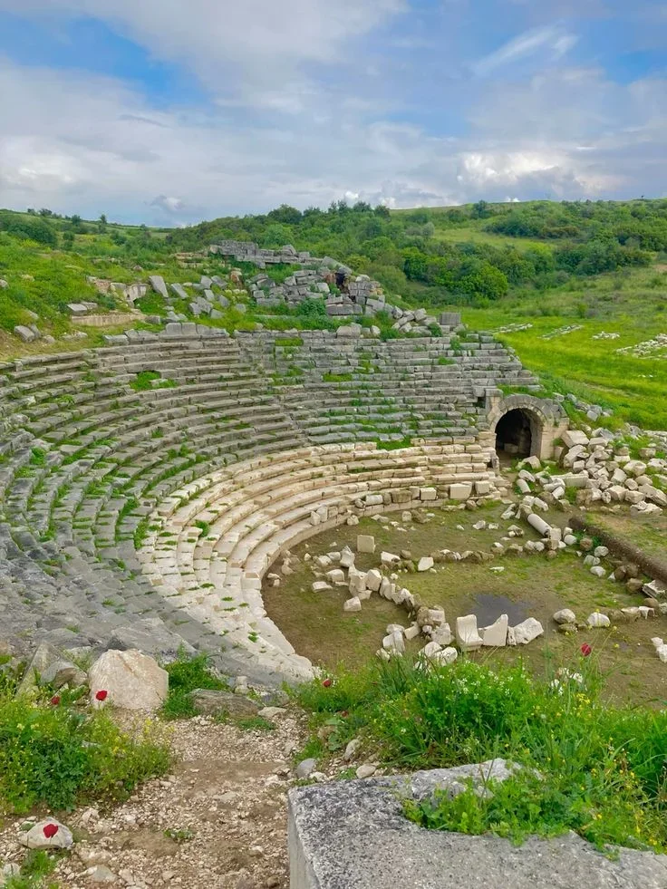 13b6c9a2db6526b6a4fe09dd888ba857.webp