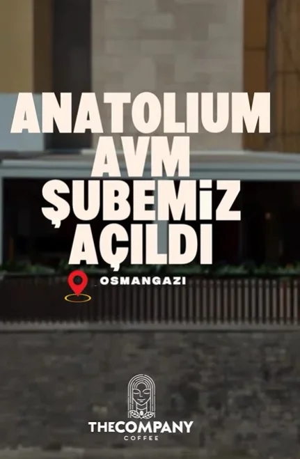 the_company_anatolium.webp