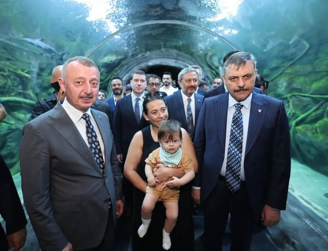 korfez_aqua_1.webp
