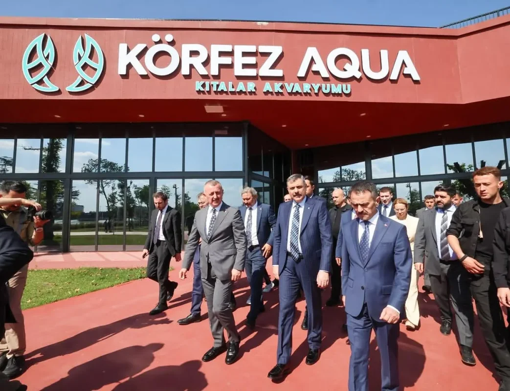 korfez_aqua_2.webp