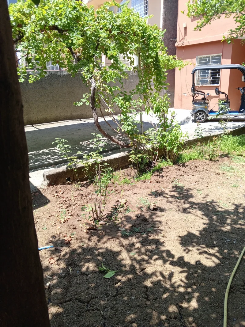 IMG_20260719_123417_664.webp
