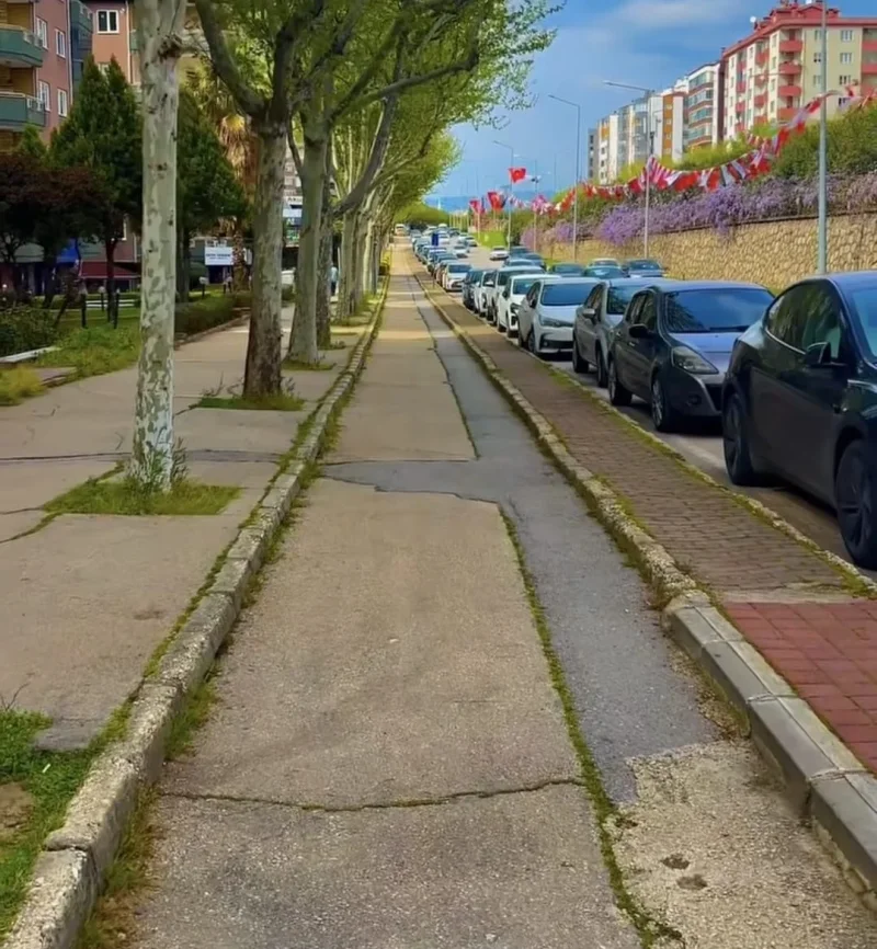 fsm_bulvari.webp