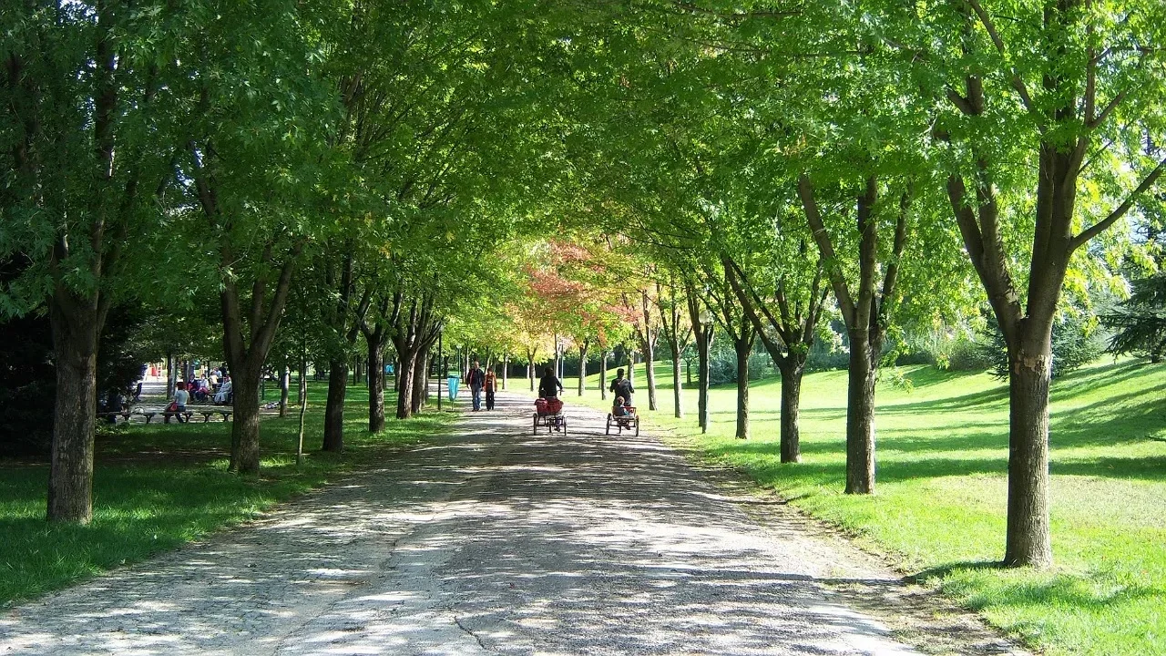 botanik_park.webp
