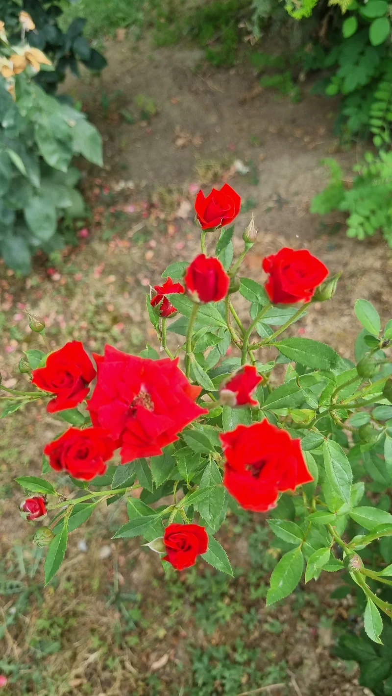 20260724_175913.webp