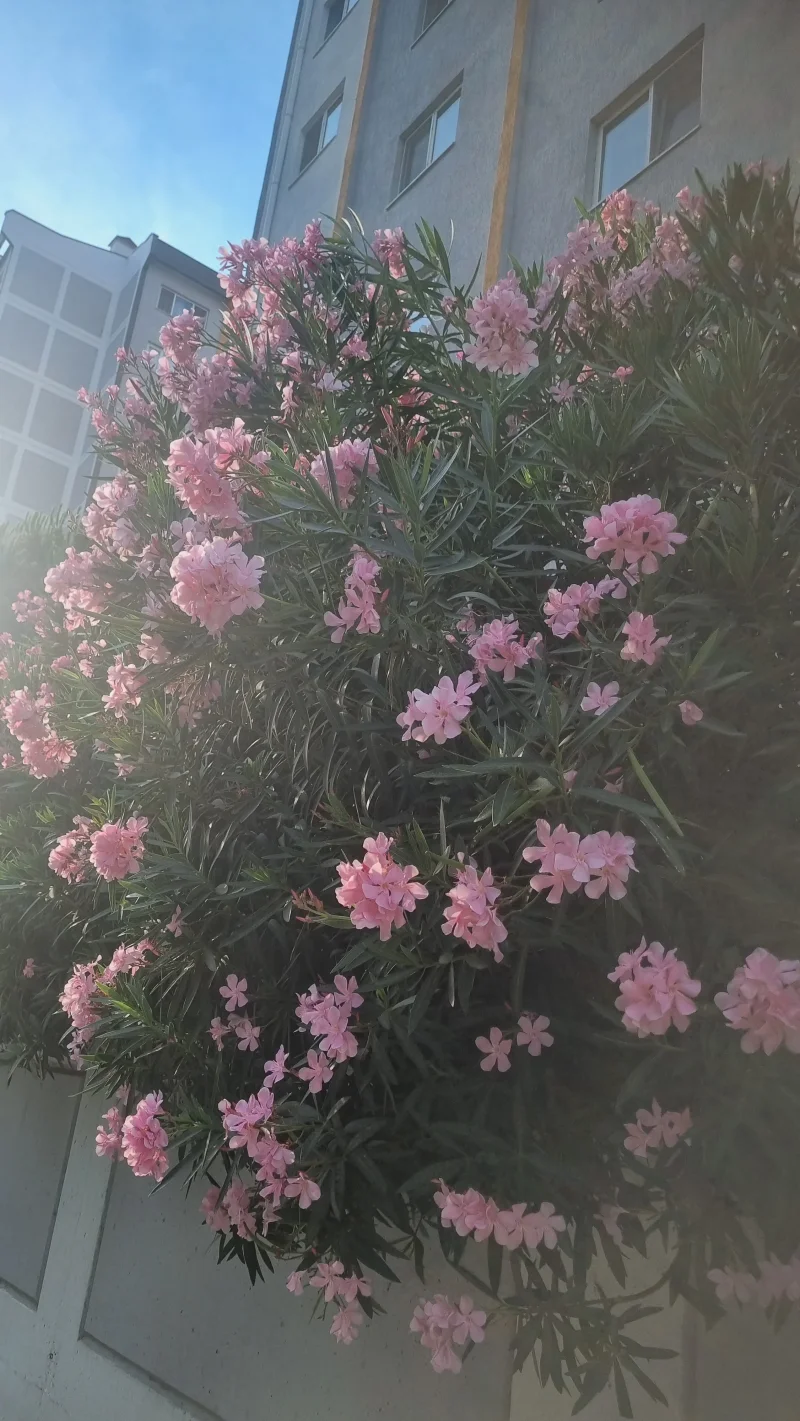 20260724_182327.webp