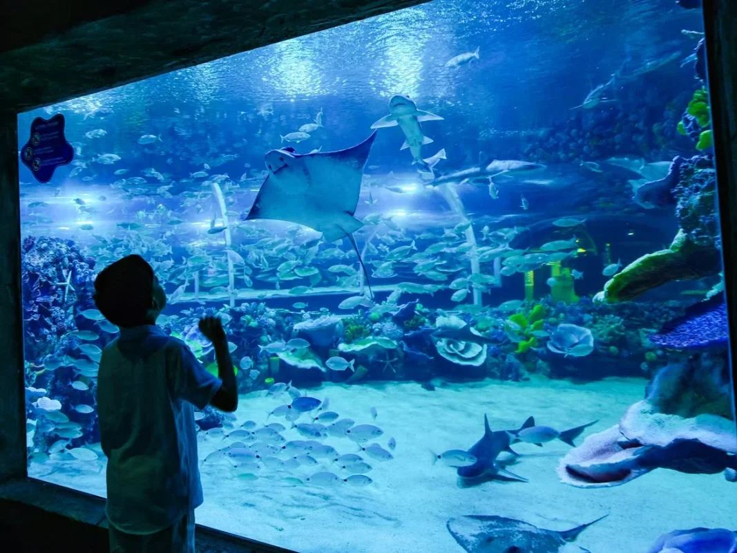 korfez_aqua_1.webp