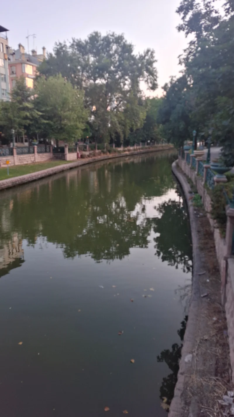 20260724_193012.webp