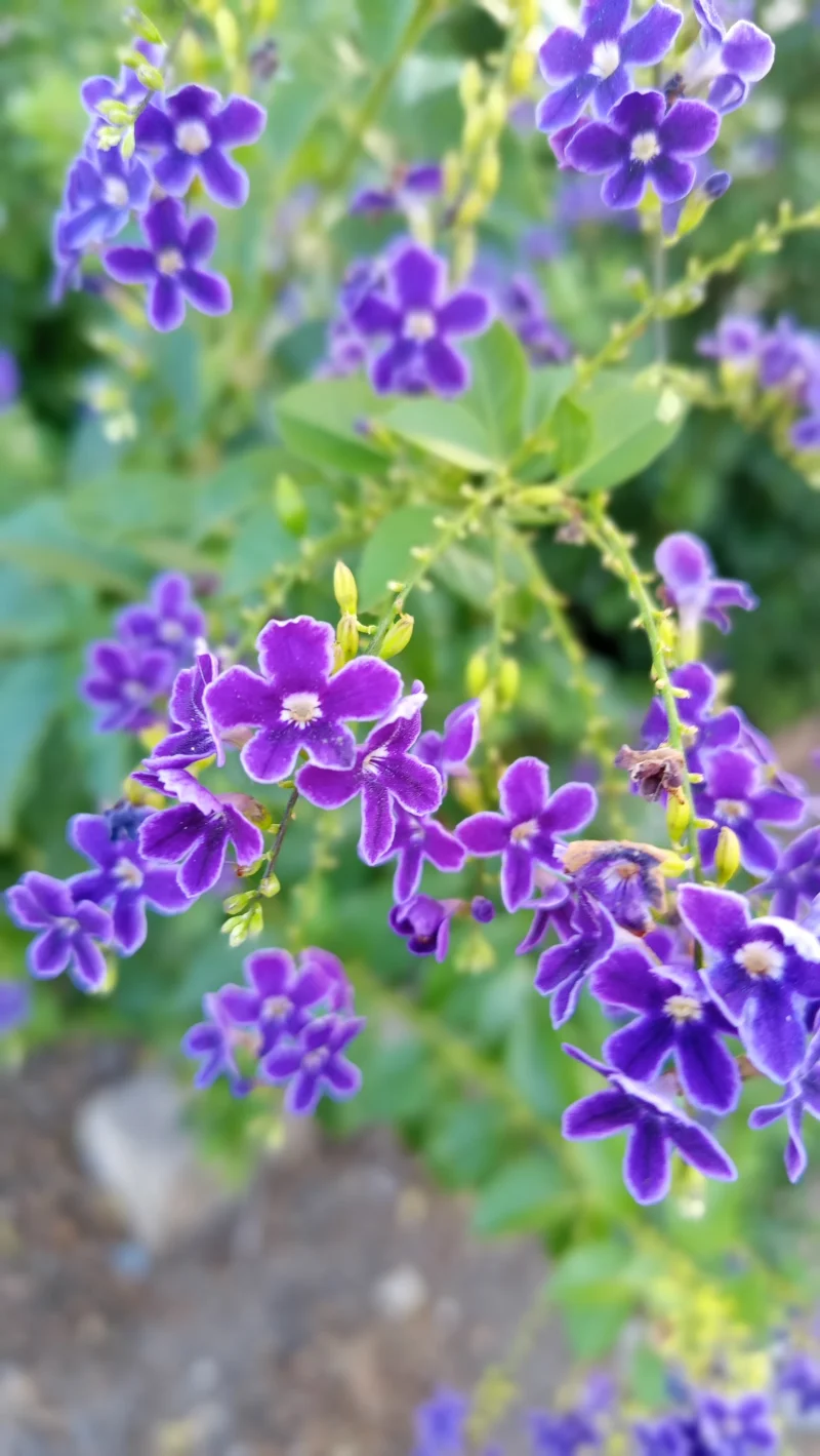 IMG_20260801_173953.webp