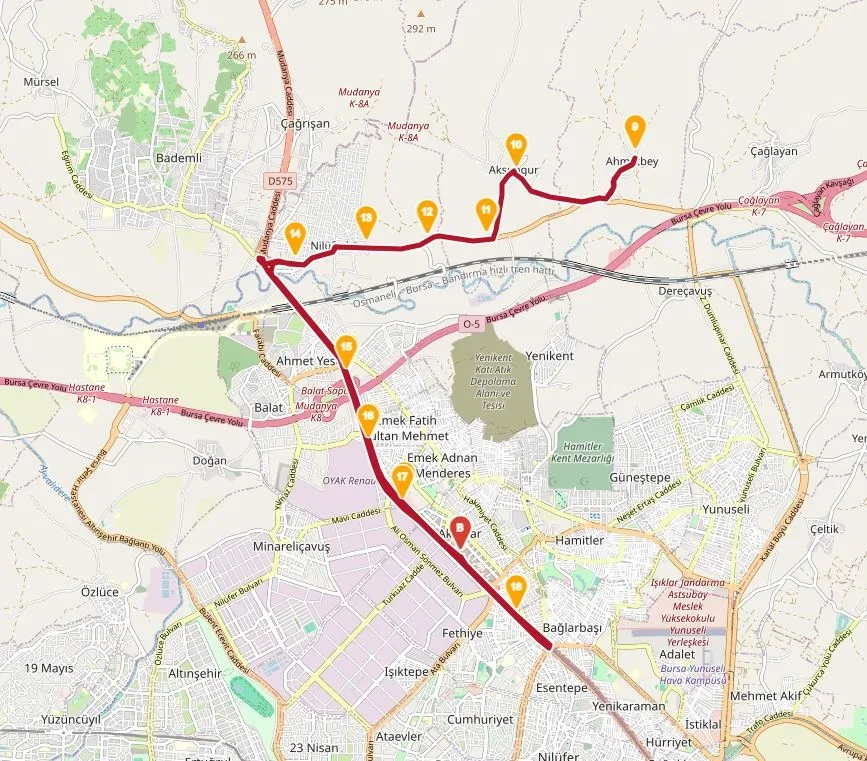 14N.webp