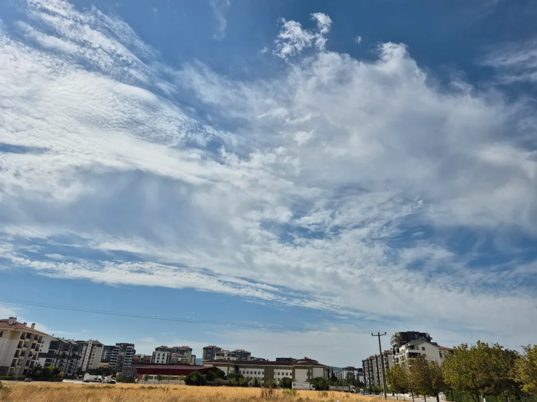 20260816_105946.webp