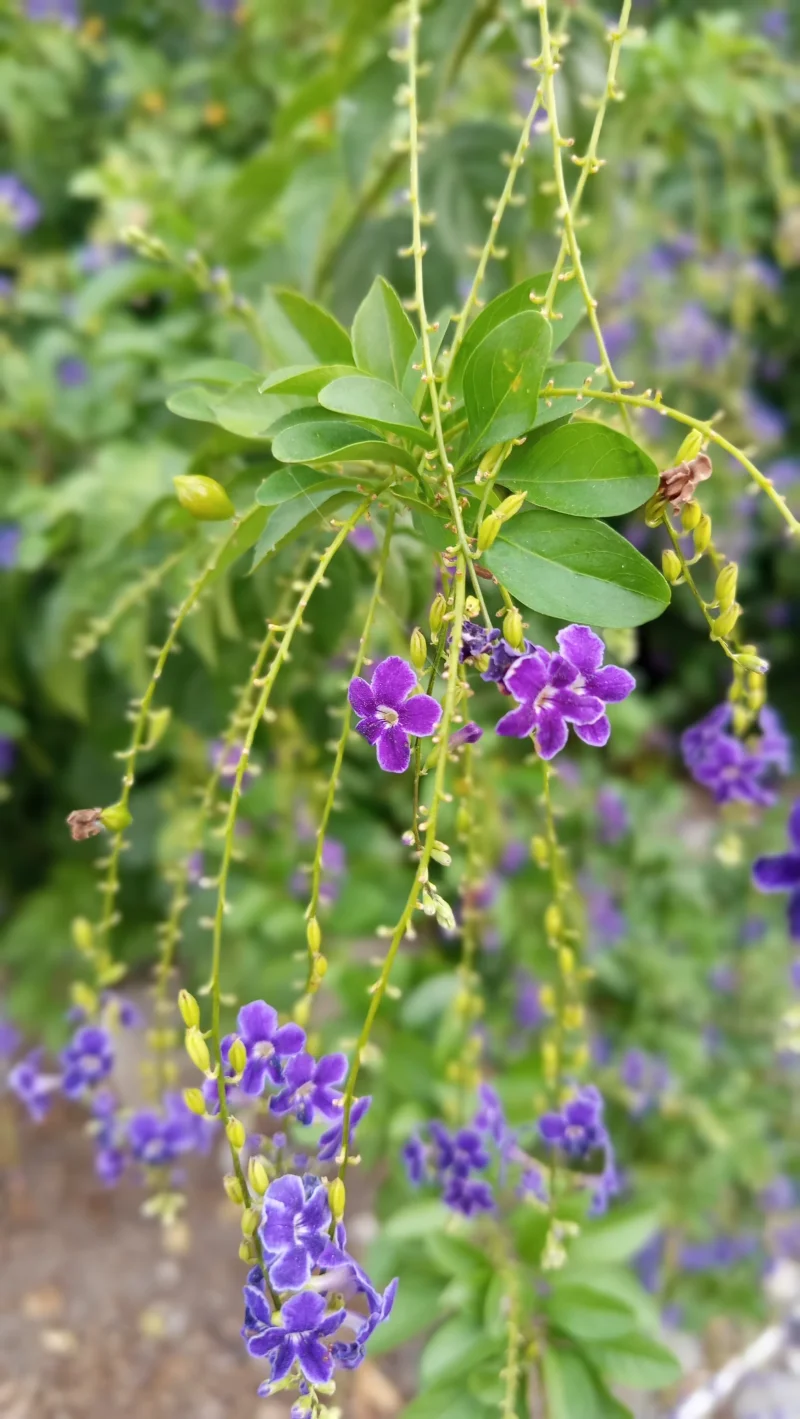 IMG_20260825_181132.webp