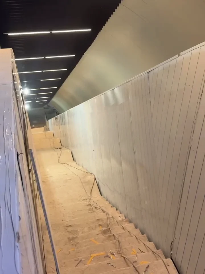 FarabiGörsel2.webp