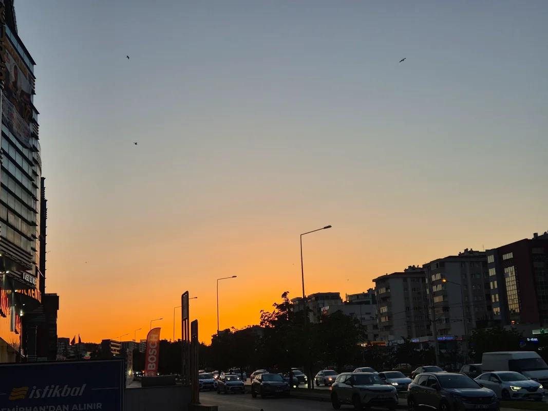 20260903_193322.webp