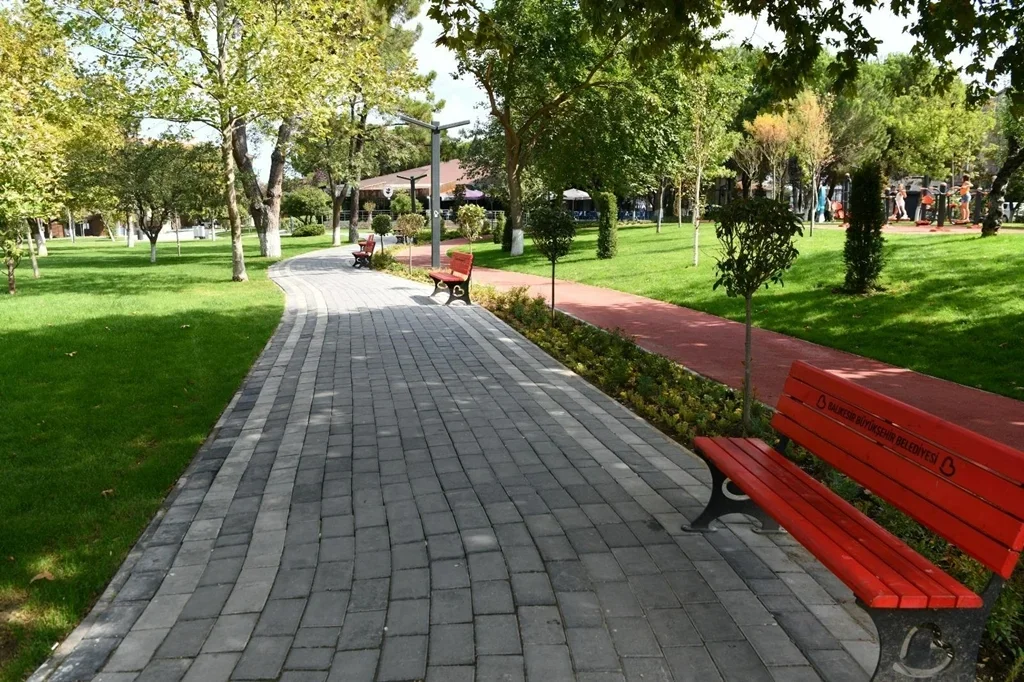 Foto5.webp