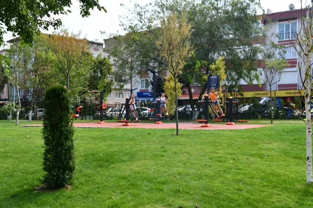 Foto6.webp