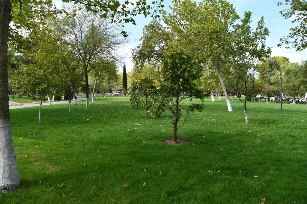 Foto8.webp