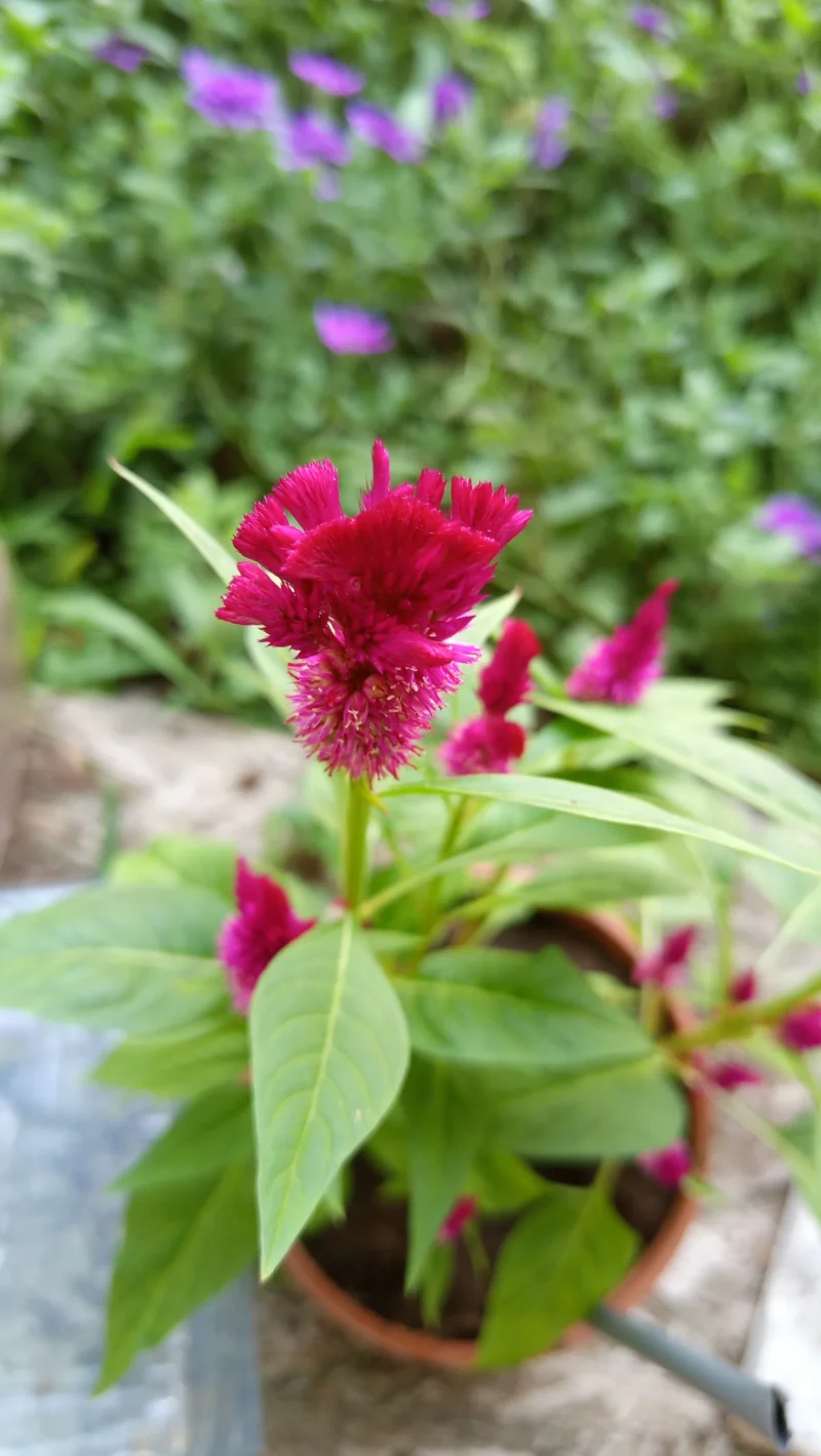 IMG_20260905_173037.webp