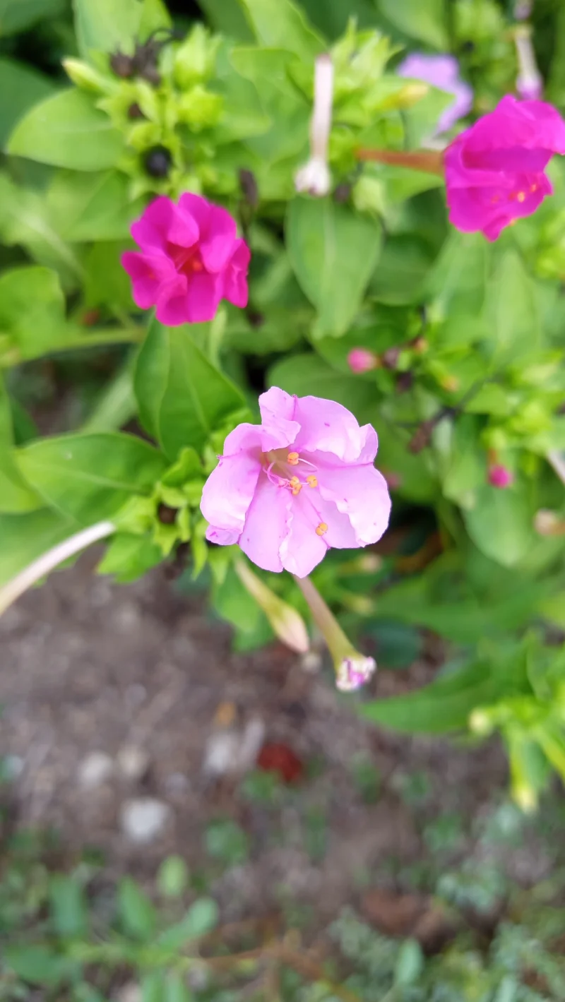 IMG_20260905_172931.webp
