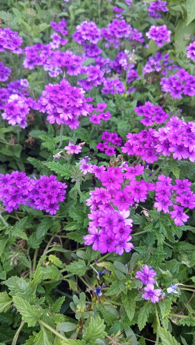 IMG_20260905_172920.webp