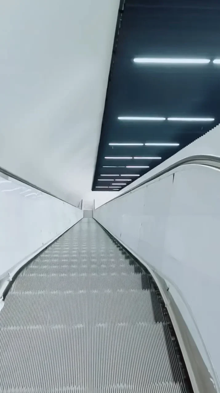 FdhGörsel7.webp