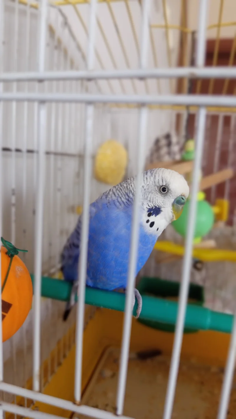 IMG_20260914_153121.webp