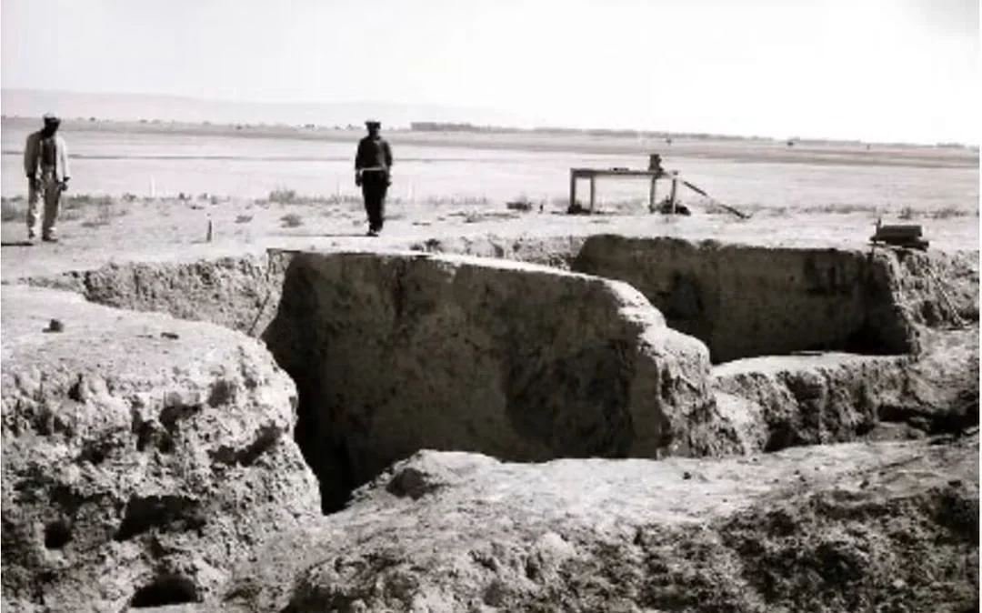 FB_IMG_1790050705559.webp