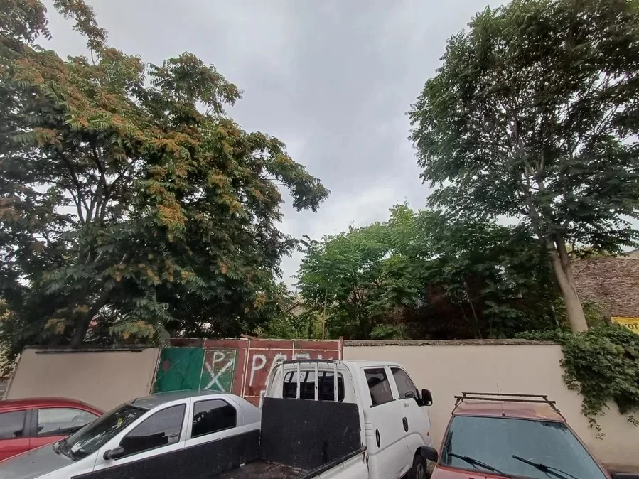 davutpasa_hamami_2.webp