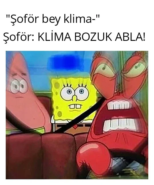 Angry Mr Krabs Driving 22092026214638.webp Angry Mr Krabs Driving 22092026214638.webp