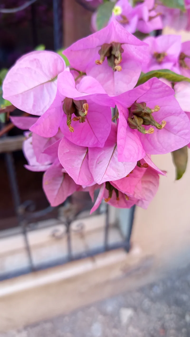 IMG_20260923_171753.webp