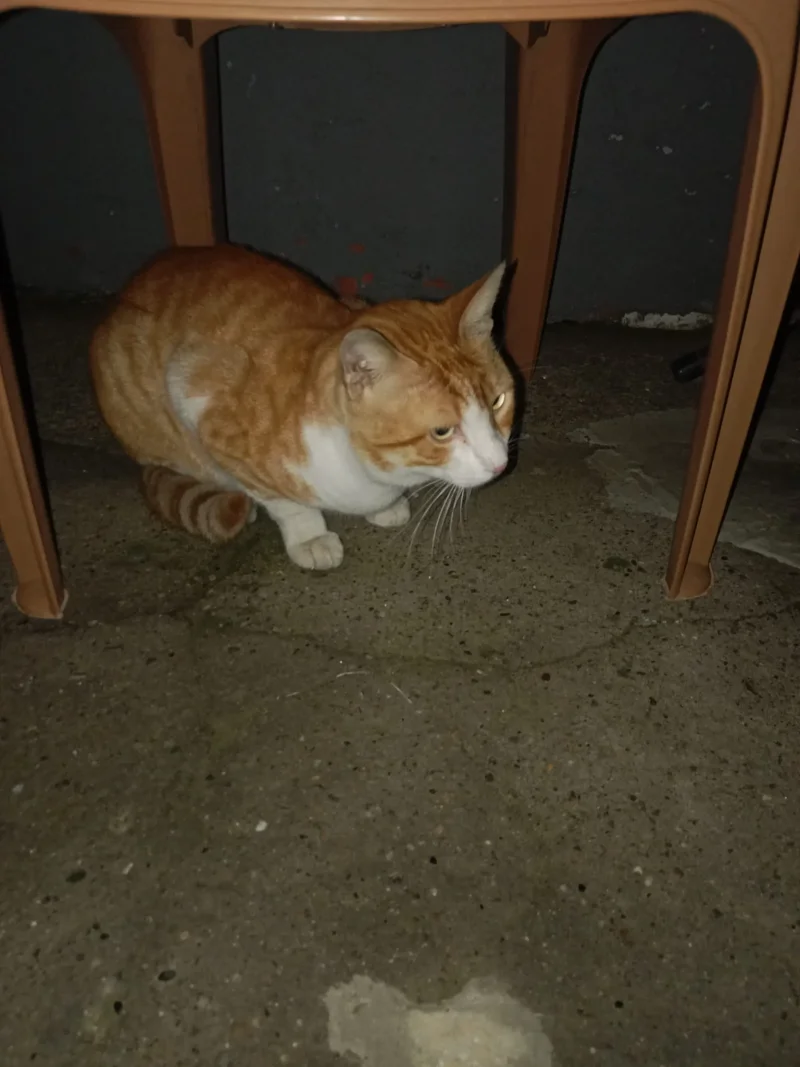 IMG-20260924-WA0010.webp