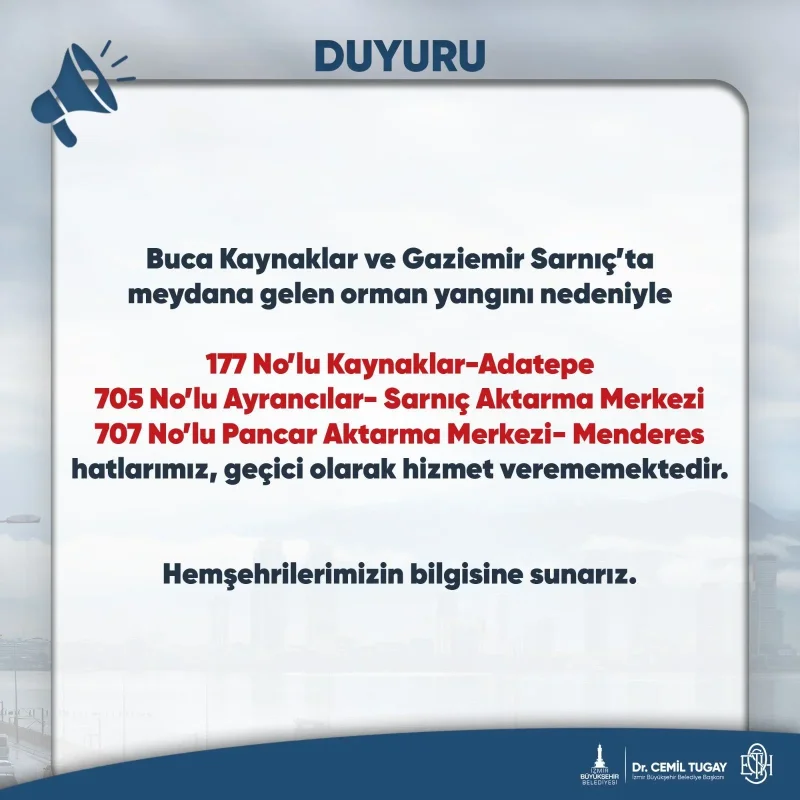 1791553452921.webp