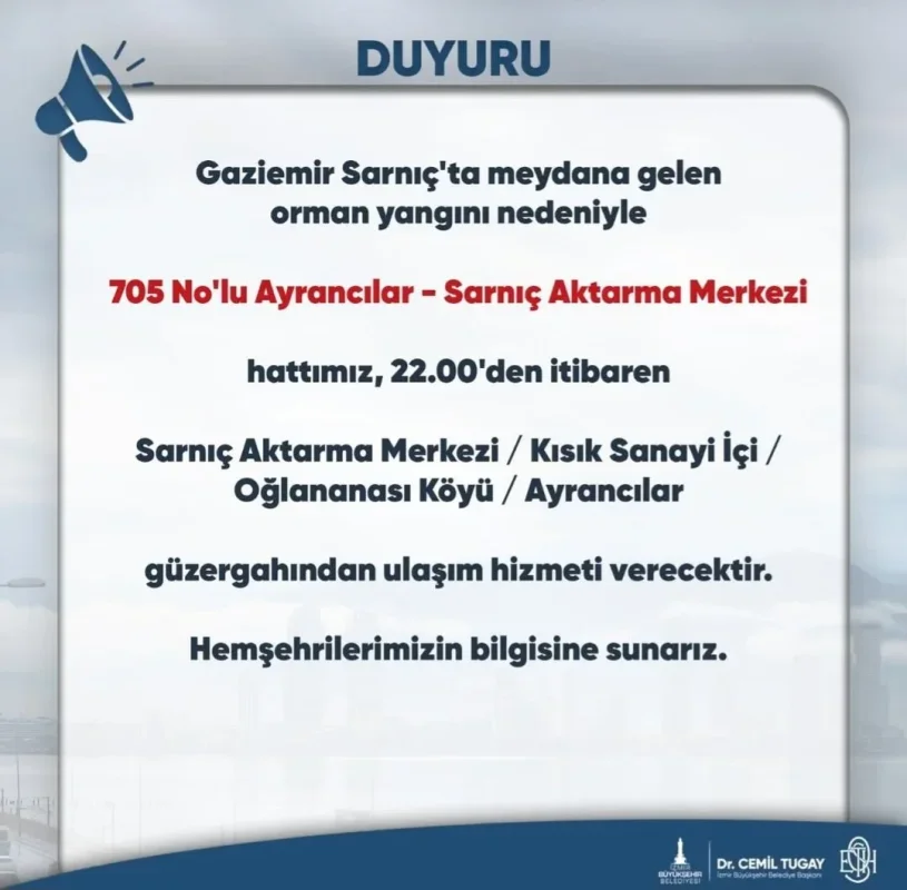 1791553463880.webp