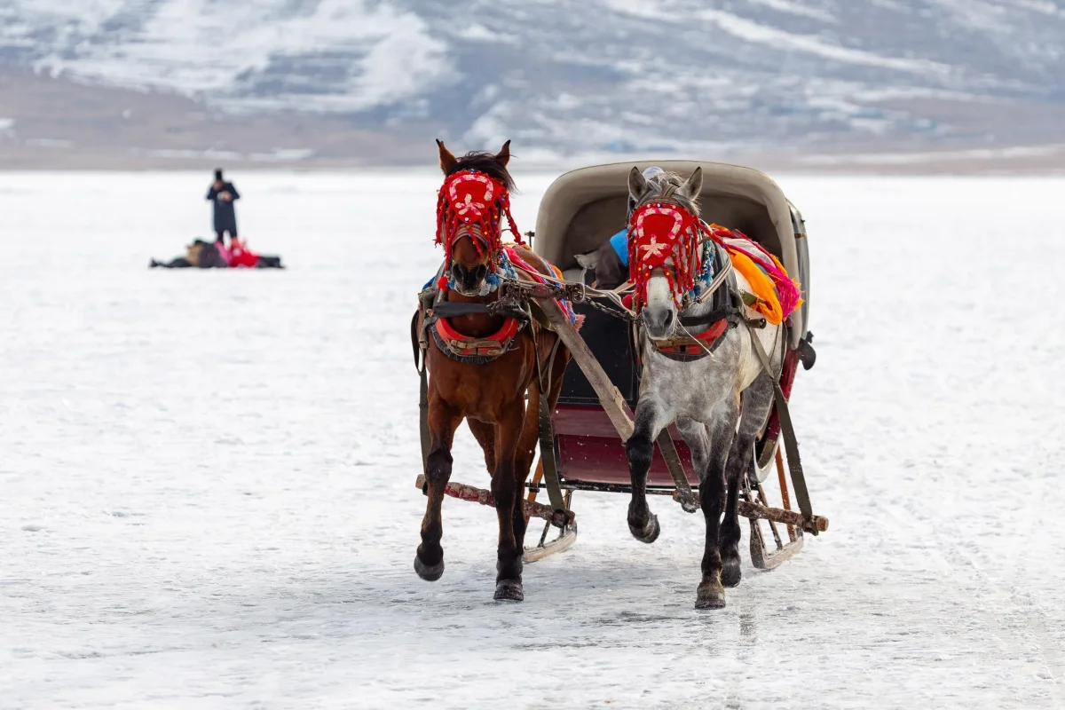 Kars 02.webp