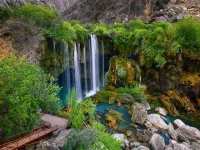 images (11).webp
