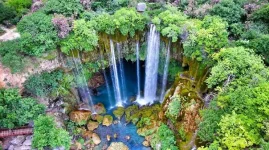 images (10).webp