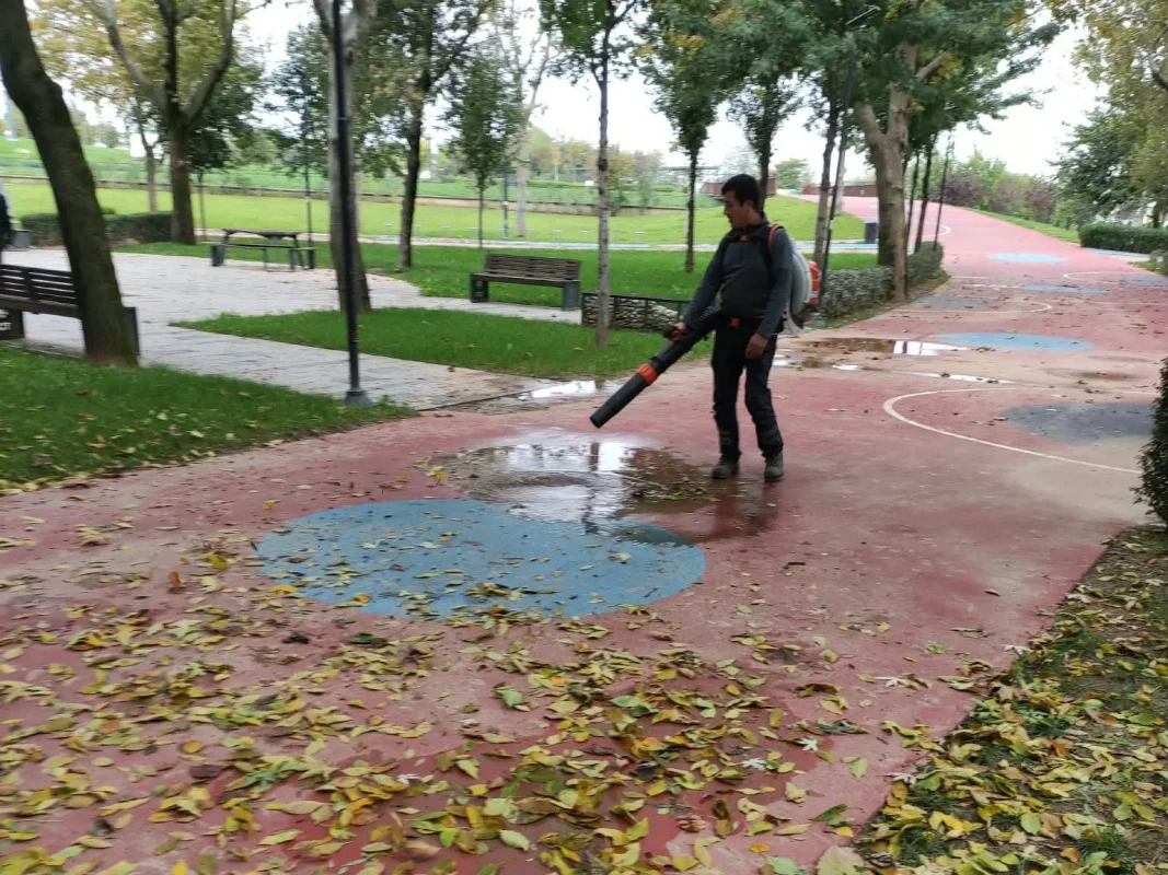 37898_MTZhZDg5ND.webp