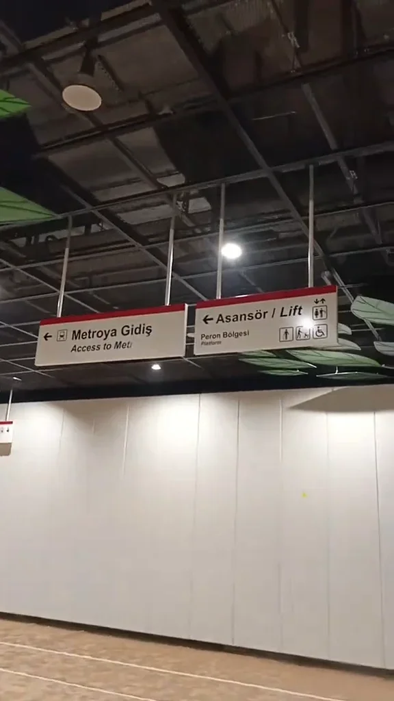 tiktok_1792593988685(1).webp