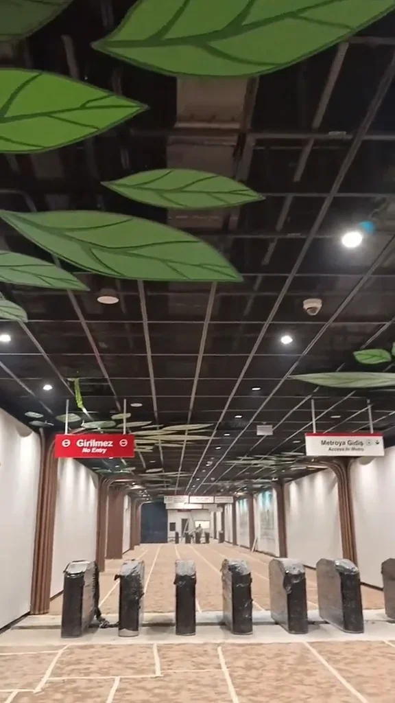 tiktok_1792593988685(2).webp