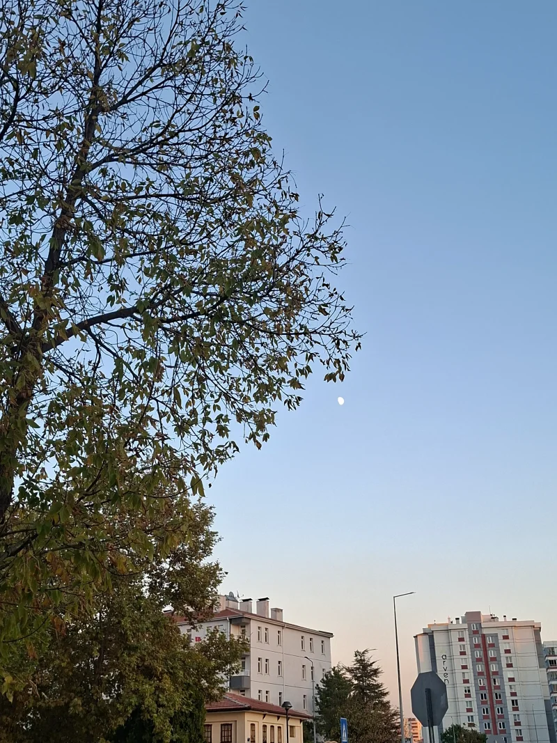 20261021_174106.webp